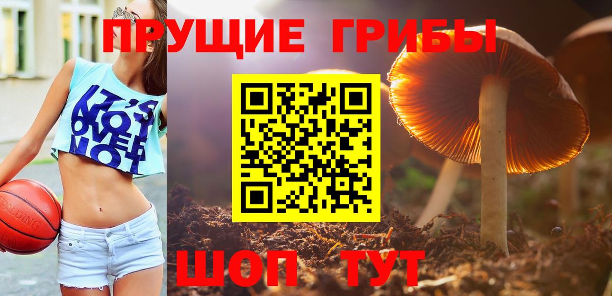  КОКАИН Нефтекумск